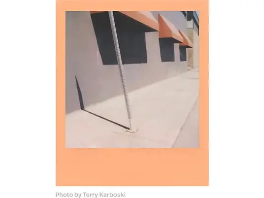 POLAROID Color Film for i-Type Pantone Color of the Year Anlık Film
